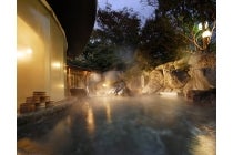 ★デラックスプラン 臨川閣プラン★ 【名古屋席・春日井車庫発】*1泊4食付*第50回プロが選ぶ日本のホテル・旅館100選 総合第2位の宿『水明館で下呂温泉冬花火を見よう!』3